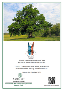 Suzieffekt Coaching pflanzt zusammen mit Planet Tree Bäume in deutschen Landesforsten.  Durch CO2-Kompensation leistet jeder Baum einen wertvollen Beitrag zum Klimaschutz.  Planet Tree ist offizieller Partner des Hessen Forst und des Landesforst Mecklenburg-Vorpommern.